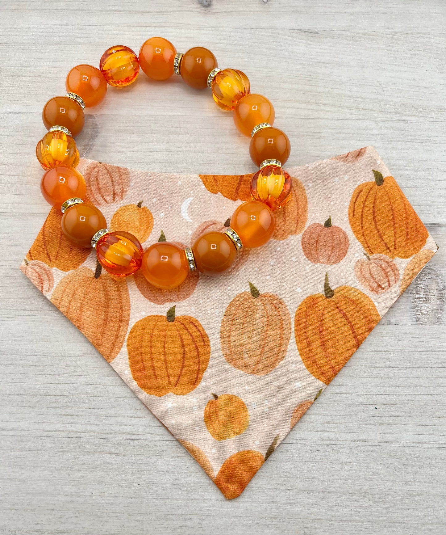 PUMPKIN PATCH NECKLACE & BANDANA BUNDLE