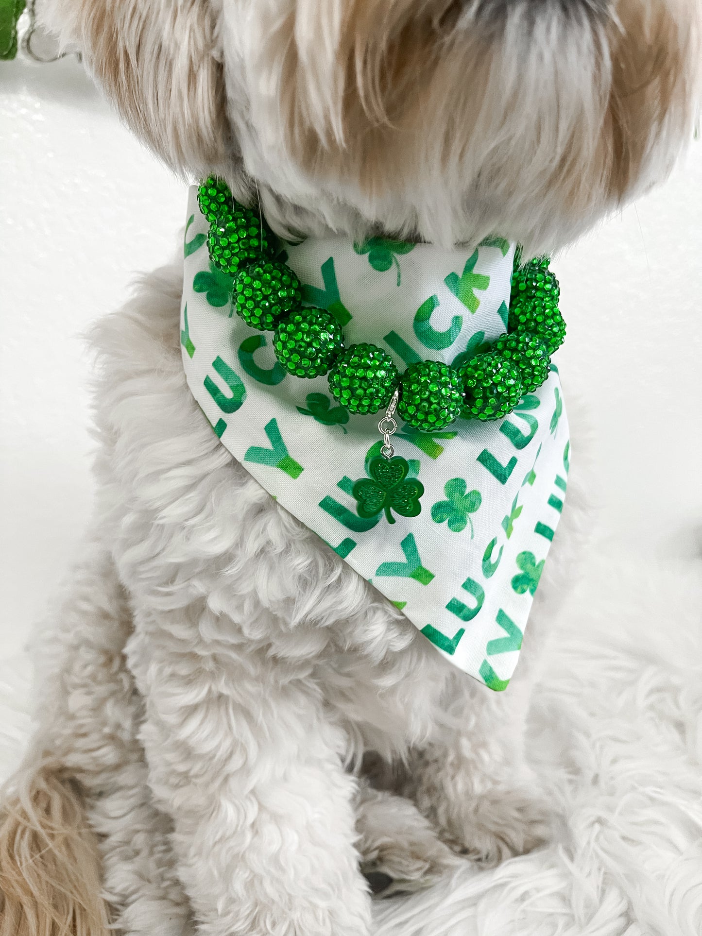 CHARMS - ST. PATRICKS DAY