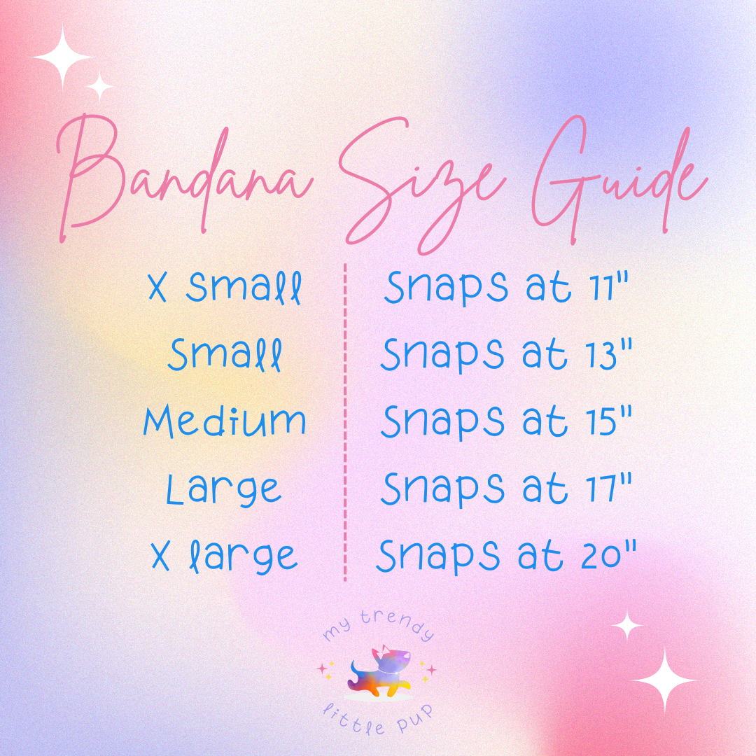 SPOOKY SEASON NECKLACE & BANDANA BUNDLE