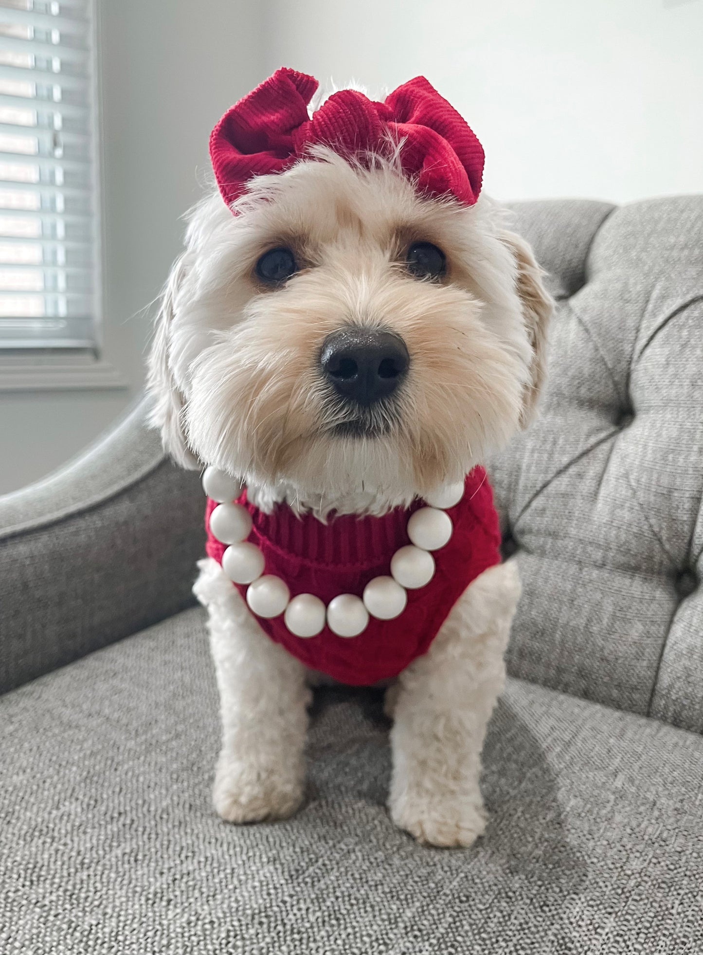 SWEATER - RED
