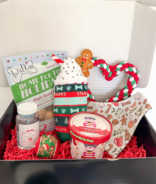 CHRISTMAS GIFT BOX - Large