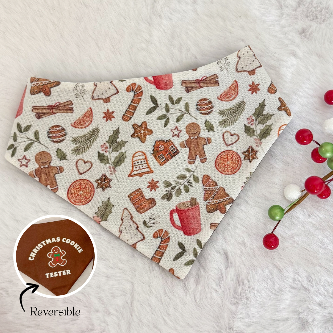 GINGERBREAD SWEATSHIRT, TREATS, NECKLACE & REVERSIBLE BANDANA BUNDLE