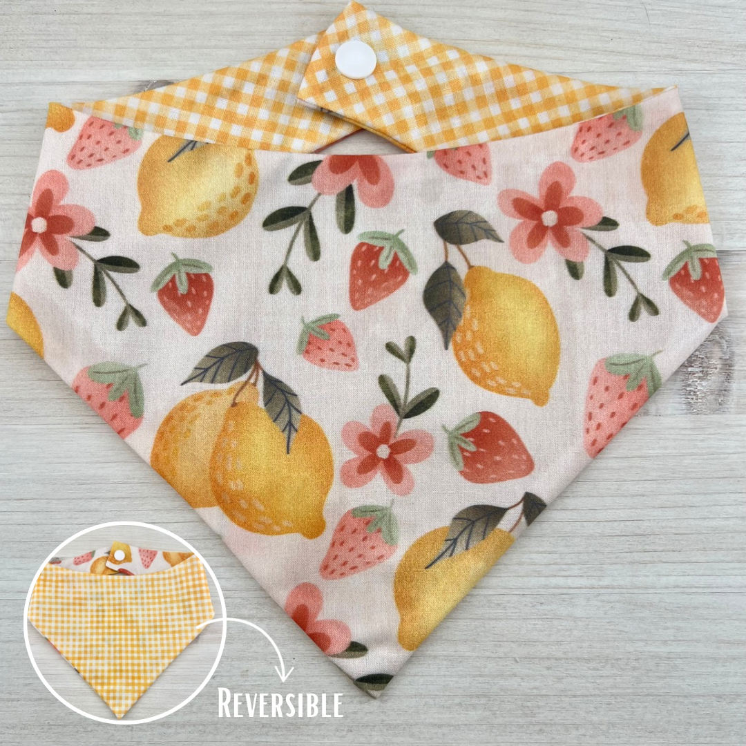 Citrus Blossoms Reversible Bandana