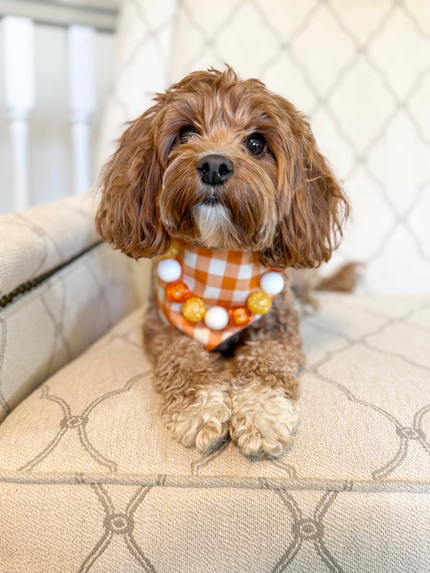 CANDY CORN CUTIE NECKLACE & BANDANA BUNDLE