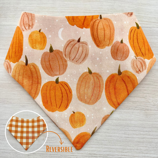 PUMPKIN PATCH BANDANA