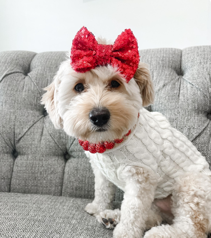CHRISTMAS RED RHINESTONE DOG NECKLACE