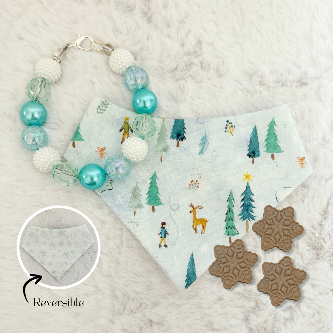 WINTER WONDERLAND NECKLACE, TREATS, & REVERSIBLE BANDANA BUNDLE