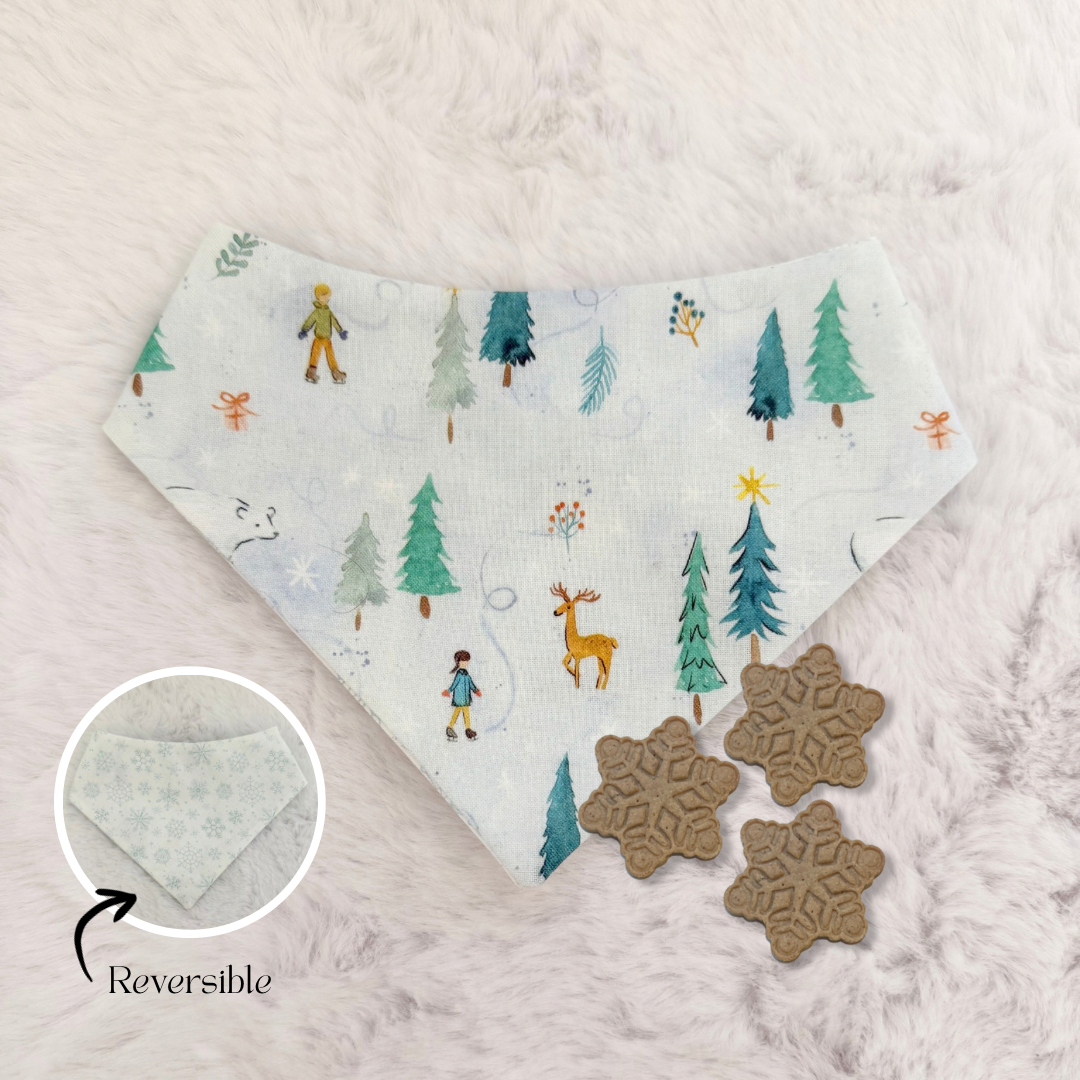 WINTER WONDERLAND REVERSIBLE BANDANA & TREAT BUNDLE