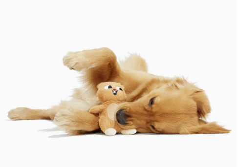 Squeaky Squirrel Dog Toy