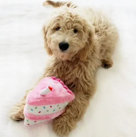 Birthday Cake Pink Slice Dog Toy